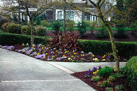corner landscaping