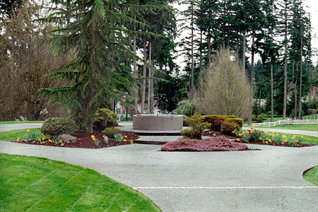 walk around sidewalk landscaping