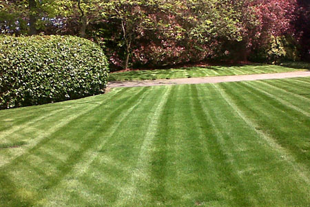 sidewalk corner landscaping