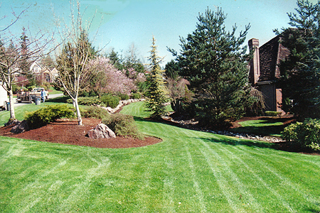 lawn landscaping